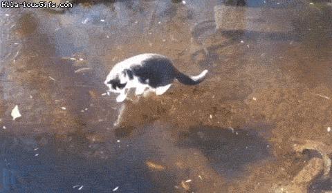 funny gif about cold weather