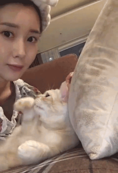 lovey lady with cat gif