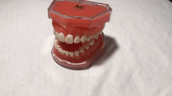 dental hygiene gif