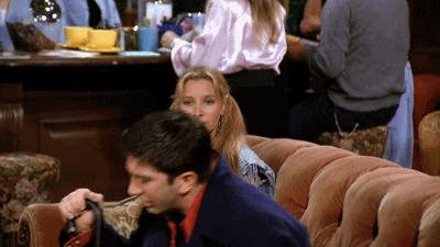 smelly cat gif