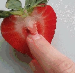 beautiful fruit gif,fruit,apple,strawberry,small pictures