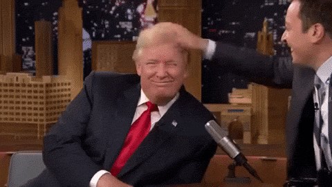 Donald Trump,Trump funny gif,Funny GIFs,Trump reality gif