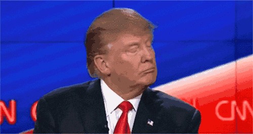 Donald Trump,Trump funny gif,Funny GIFs,Trump reality gif
