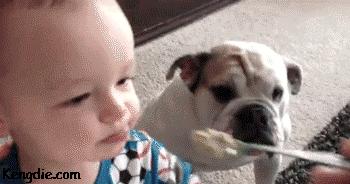 cute and funny gif